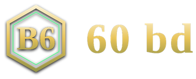 60 bd logo